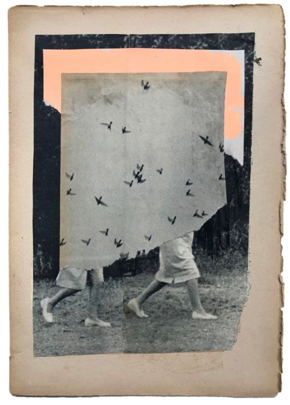 Des oiseaux sur ma route - Laurence Briat