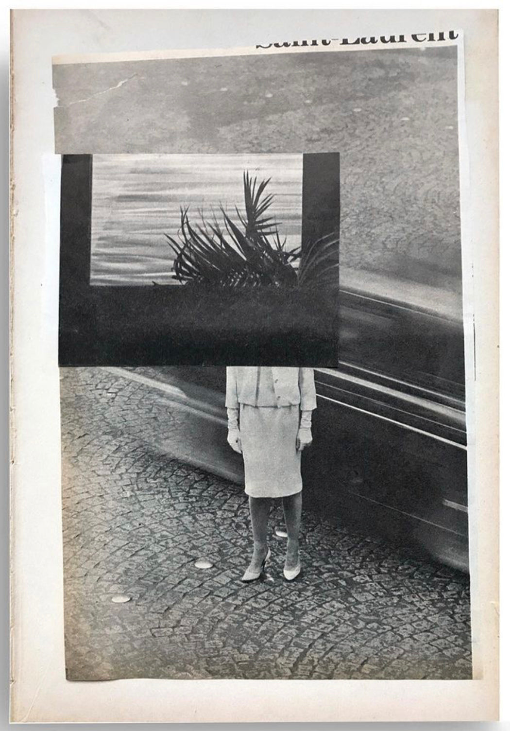 Palm - Laurence Briat
