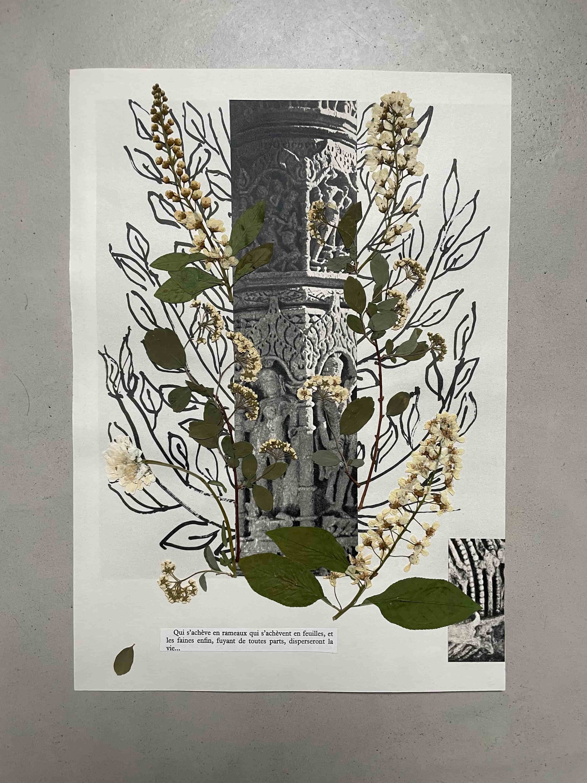 oeuvre de Stéphanie Montagut - galerie matchi.art
