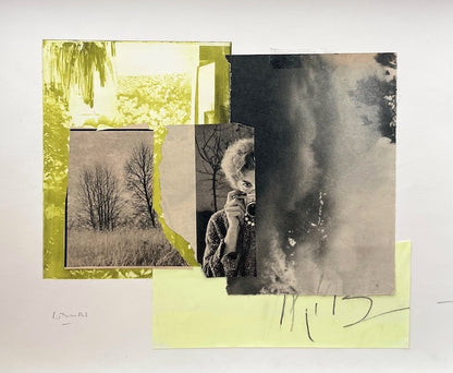 Photograph - Laurence Briat