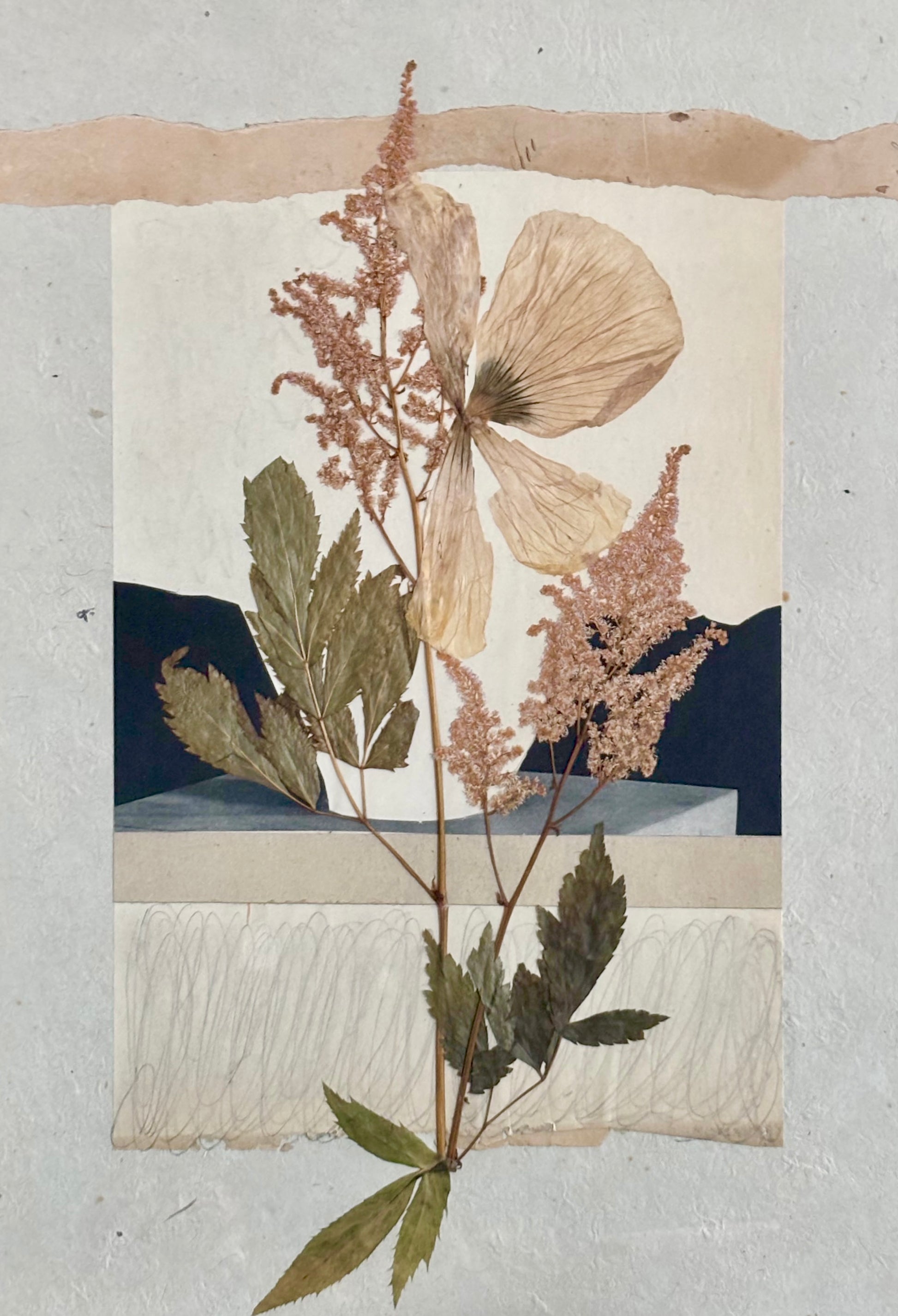 oeuvre de Stéphanie Montagut - galerie matchi.art