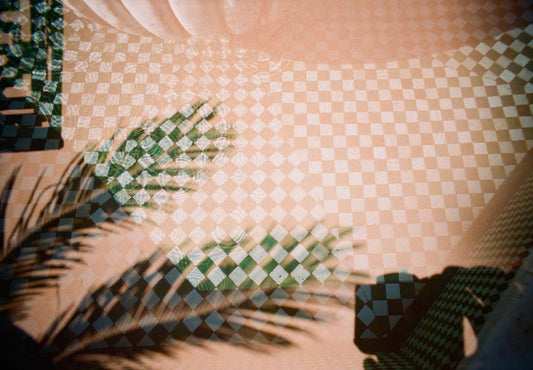 oeuvre les palmes roses - joséphine vallé franceschi - galerie matchi.art 