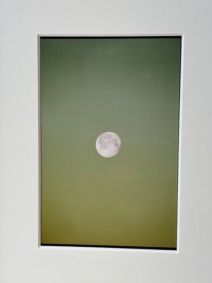 oeuvre de Lucie Belarbi - galerie matchi.art