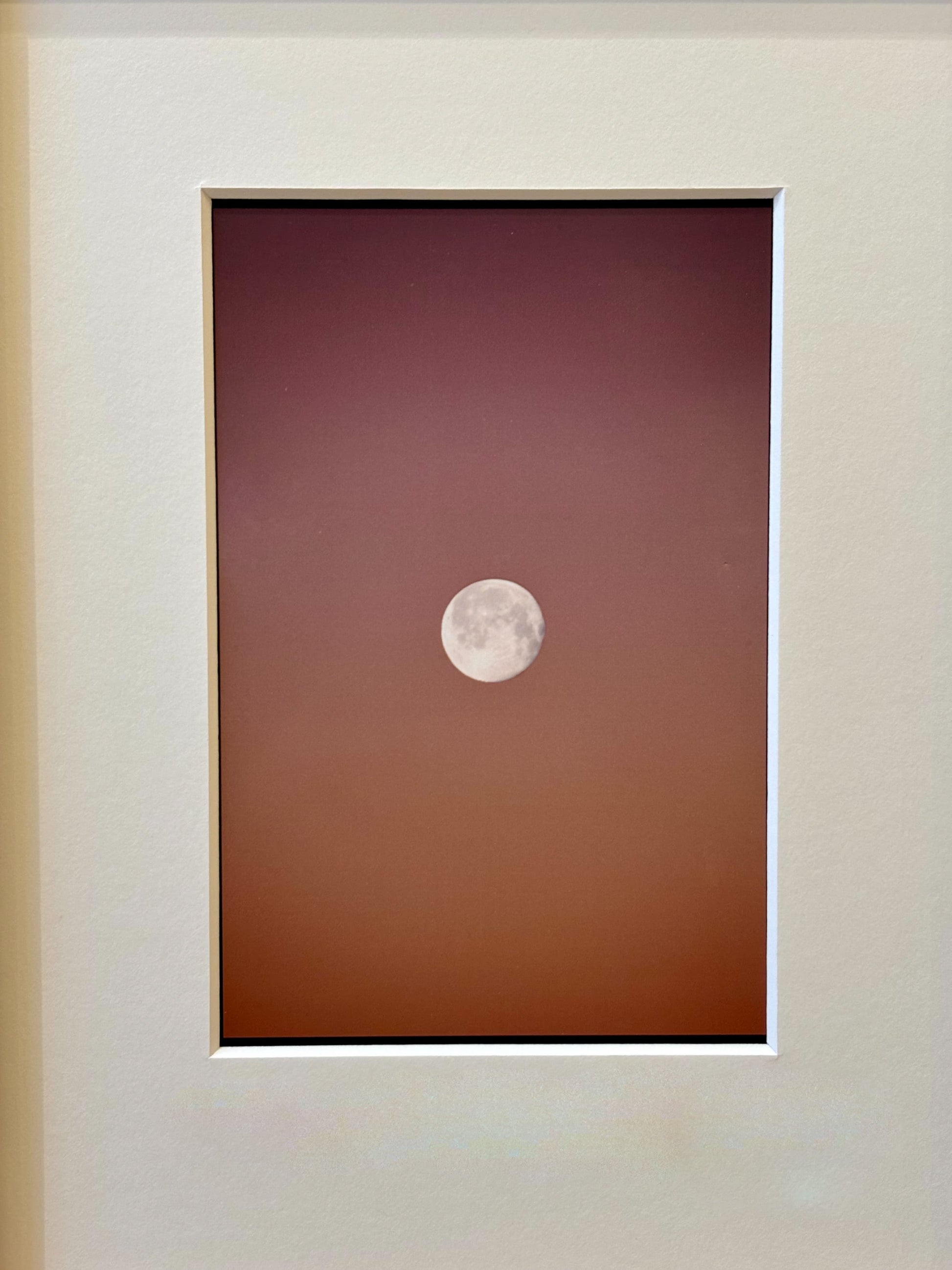 oeuvre de Lucie Belarbi - galerie matchi.art