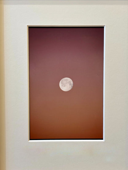 oeuvre de Lucie Belarbi - galerie matchi.art